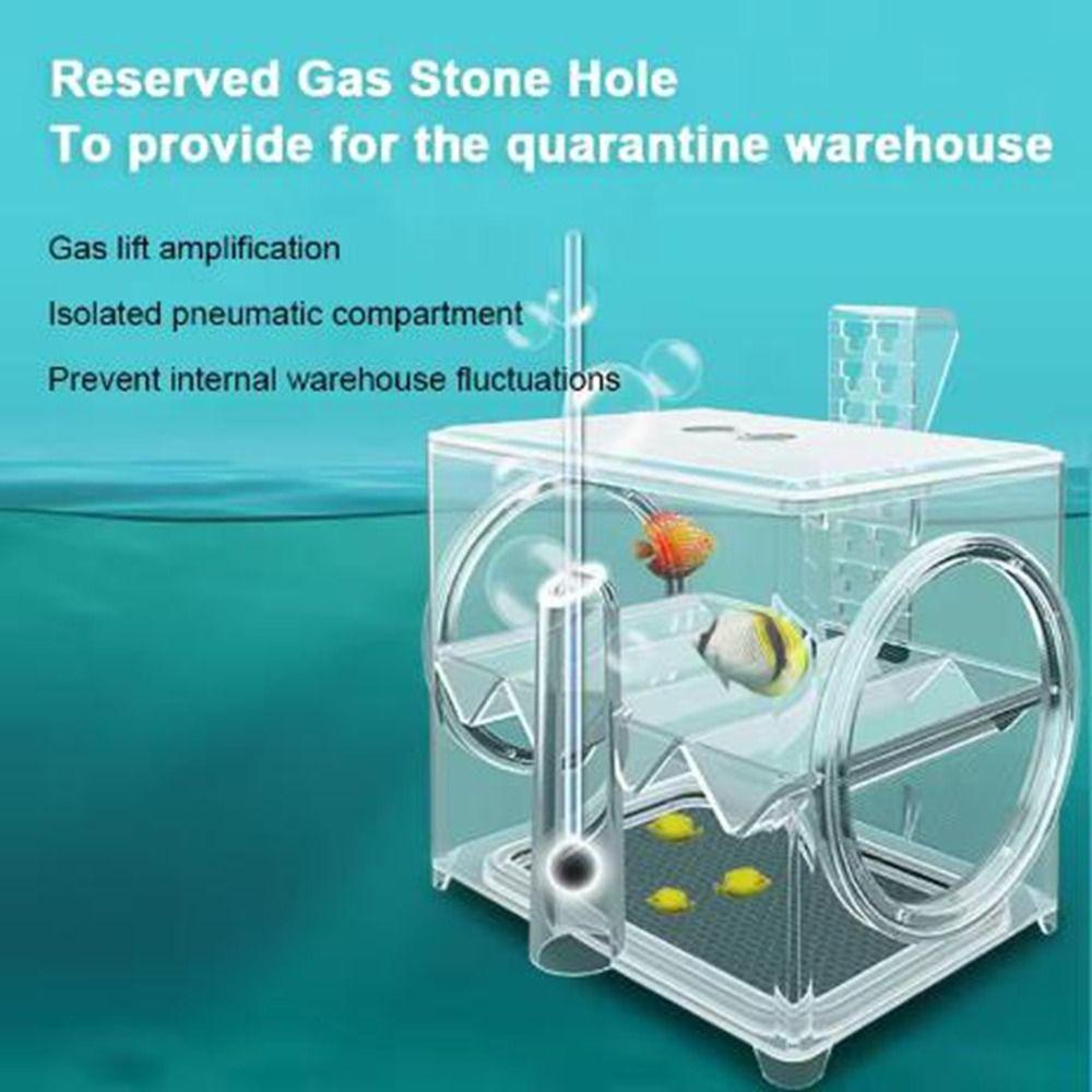 Pneumatic Fish Breeding Box Transparent Fish Isolation Box Suspended Incubator  Clownfish