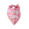 1 Set Pet Birthday Party Decoration Flag Triangle Towel Birthday Hat Balloons
