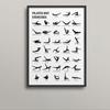 Decoração de casa – Posters e quadros