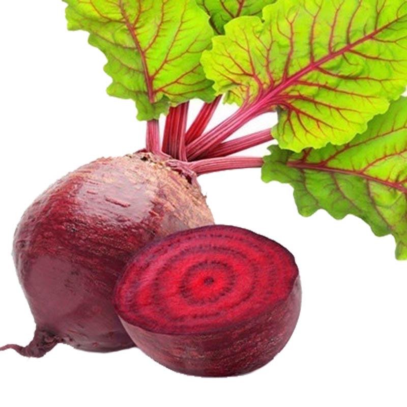 Buy Organic Vegetable Plants Seed Home Garden Decor at affordable