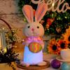Easter Gnomes Decorations,Plush Easter Gnomes Swedish Tomte Stuffed Doll Facelesses Dwarfs Household Ornaments Gifts