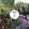 Rustproof Plant Frame DIY Assemble Climbing Plant Support  Vertical Garden Patio Balcony