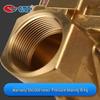 Spring-Coupled Diaphragm Solenoid Valve for Zero Pressure Start & Large Flow Water