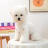 Pet pearl necklace shell starfish pendant cat collar puppy teddy neck cute ornament