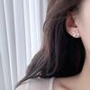 Exquisite Zirconia Butterfly Stud Earrings - Versatile and Fashionable Jewelry