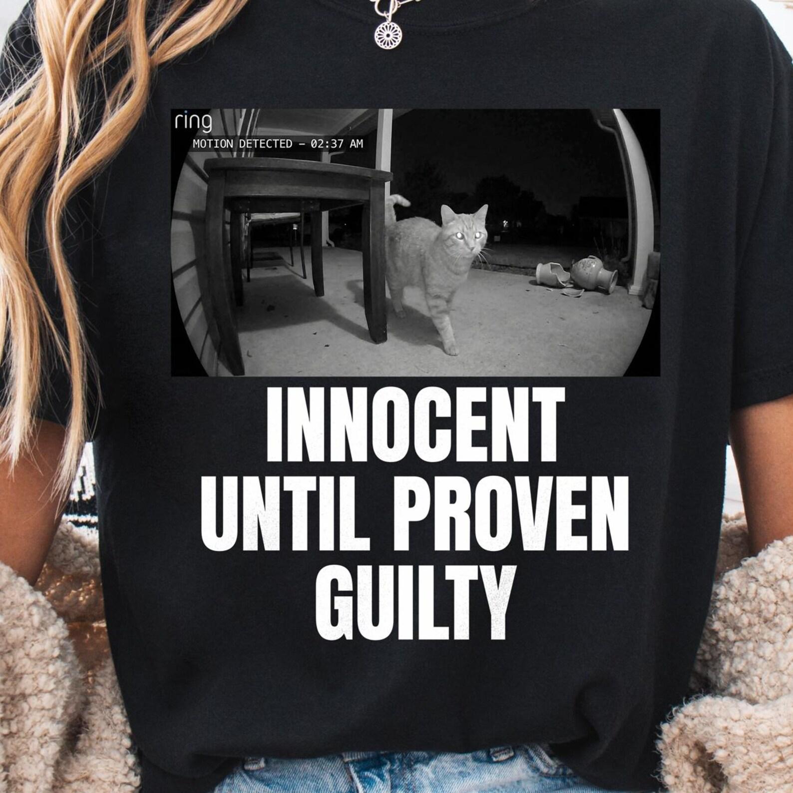 Guilty Cat Meme Shirt, Baggy Washed Animal Meme Gift, Funny Cat Face Shirt, Vintage Retro Graphic Tee 4XL