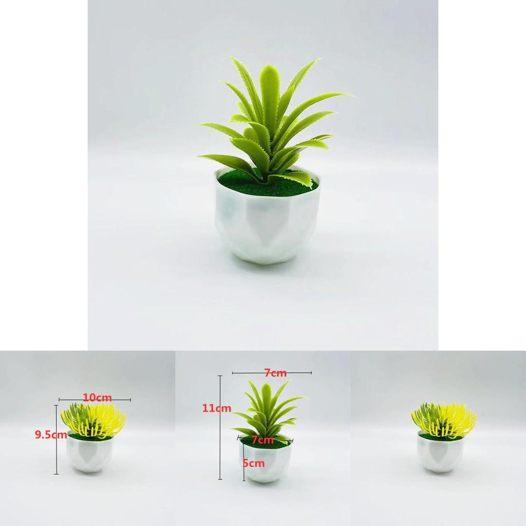 Plastic Succulent Fake Plant Pot For Home Decor And Gift