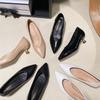 Fashion Stiletto Pointed Toe Single Shoes Women's 2025 Spring New Work Shoes