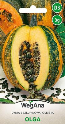 Pumpkin Olga 3g Zucchini Pumpkin Seeds -
