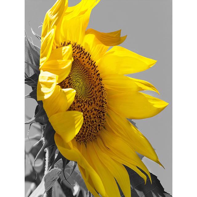 Graue Serie von Pflanzenblumen, dekoratives Gemälde, Sonnenblumen-Ölgemälde, Poster, Sofa, Wandhintergrund, Kunst, Leinwand, hängendes Gemälde