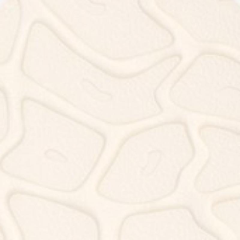 Teva Women S Daily Sandal Zymic Stvf2314039 Moi