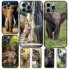 African Elephant Silhouette For Huawei Nova 7i 8i 11i 12i  9 10 SE 11 Pro Y60 Y70 Y90 Y61 Y91 Y72 Y73 P40 P30 Lite Case