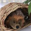 Woven Straw Pet Rabbit Hamster Guinea Pig Cage Nests House Toy Chinchilla Bed