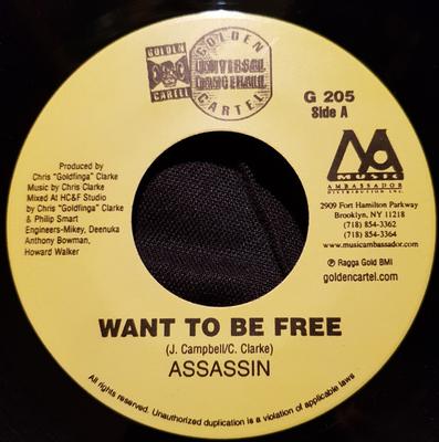 7palcová deska ASSASSIN - Chci být svobodný G205 Golden Cartel R 2003 Jamajka Reggae, Ska & Dub Použité