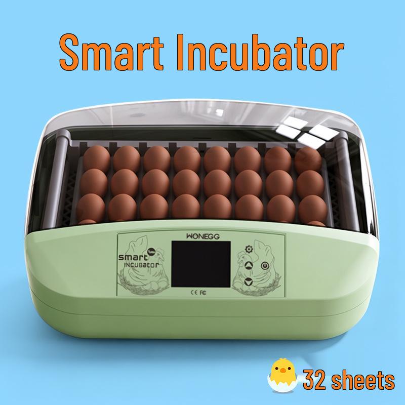 Smart Mini Egg Incubator for Parrots and Budgies: Automatic Pet Hatchery Equipment