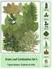 Handmade Transparent Bottle Embossing Film for Spring Plant Specimen Bookmarks
