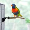 Parrot Perch Stand with Suction Cup Relieve Boredom Natural Wood Birds Toy for Cockatoo Macaw Parakeet