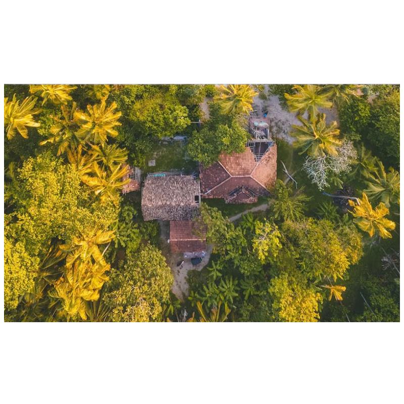 Debo Octagonal Double-Layer Insulated Stainless Steel Tea Cup