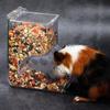 Feeder for Small Animals