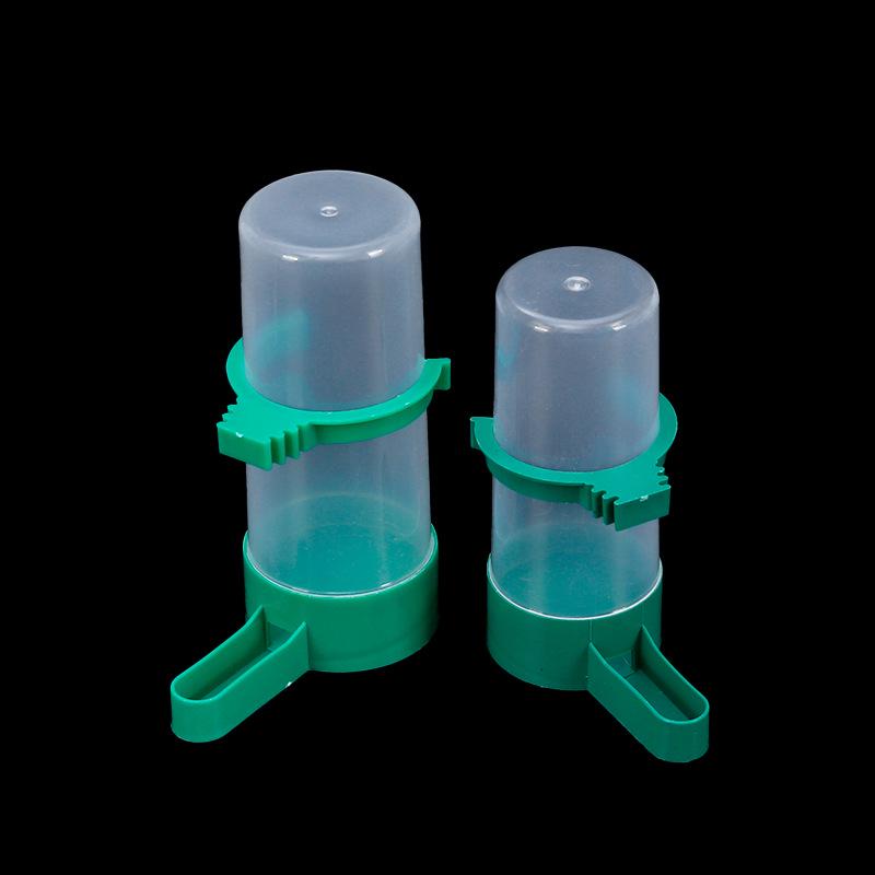 Bird & Parrot Automatic Water Feeder and Food Dispenser