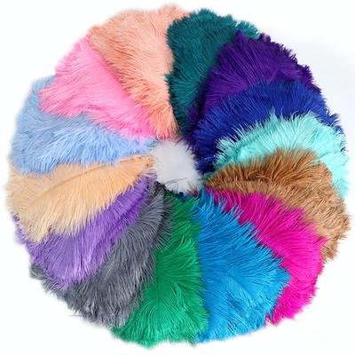 Plumes d'Autruche 30-35Cm Plumes Colorées Décoration de Mariage Composition Florale Vêtements de Scène Guide de Mariage