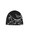 Arcteryx Bird Head Torque Hat Tp451025008