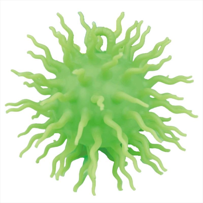 Unique Iga Sea Urchin Ball Assortment Iga Sea Urchin Size UN-0321