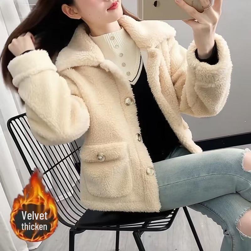 Women's Faux Lamb Wool Plush Coat - Korean-Style Loose Short Jacket for Autumn/Winter