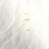 Louis Vuitton M73939 Monogram Logo Glitter Etoile Monogram Scarf Shawl Stole