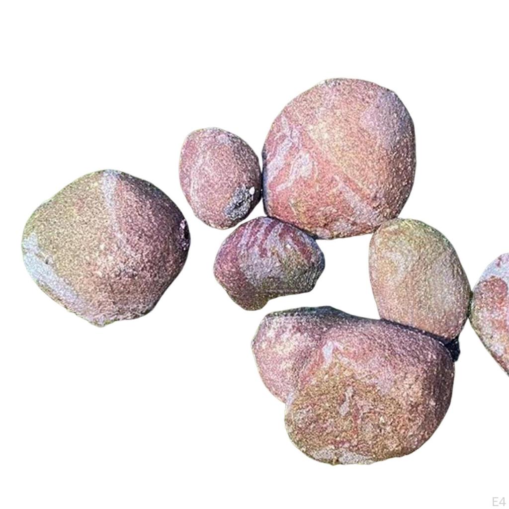 8 Pieces Artificial Rocks Miniature Decoration Realistic Stone Landscaping for Park Home Commercial