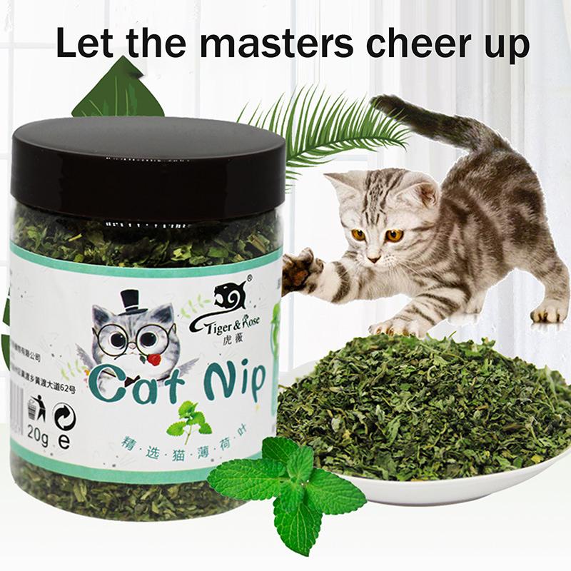 1 Stück Bio 100% Natürlich Hohe Qualität Katzenminze Rindergras Minzgeschmack Lustiges Katzenspielzeug Neues Katzenspielzeug Interaktive Katzenspielzeuge Haustierbedarf