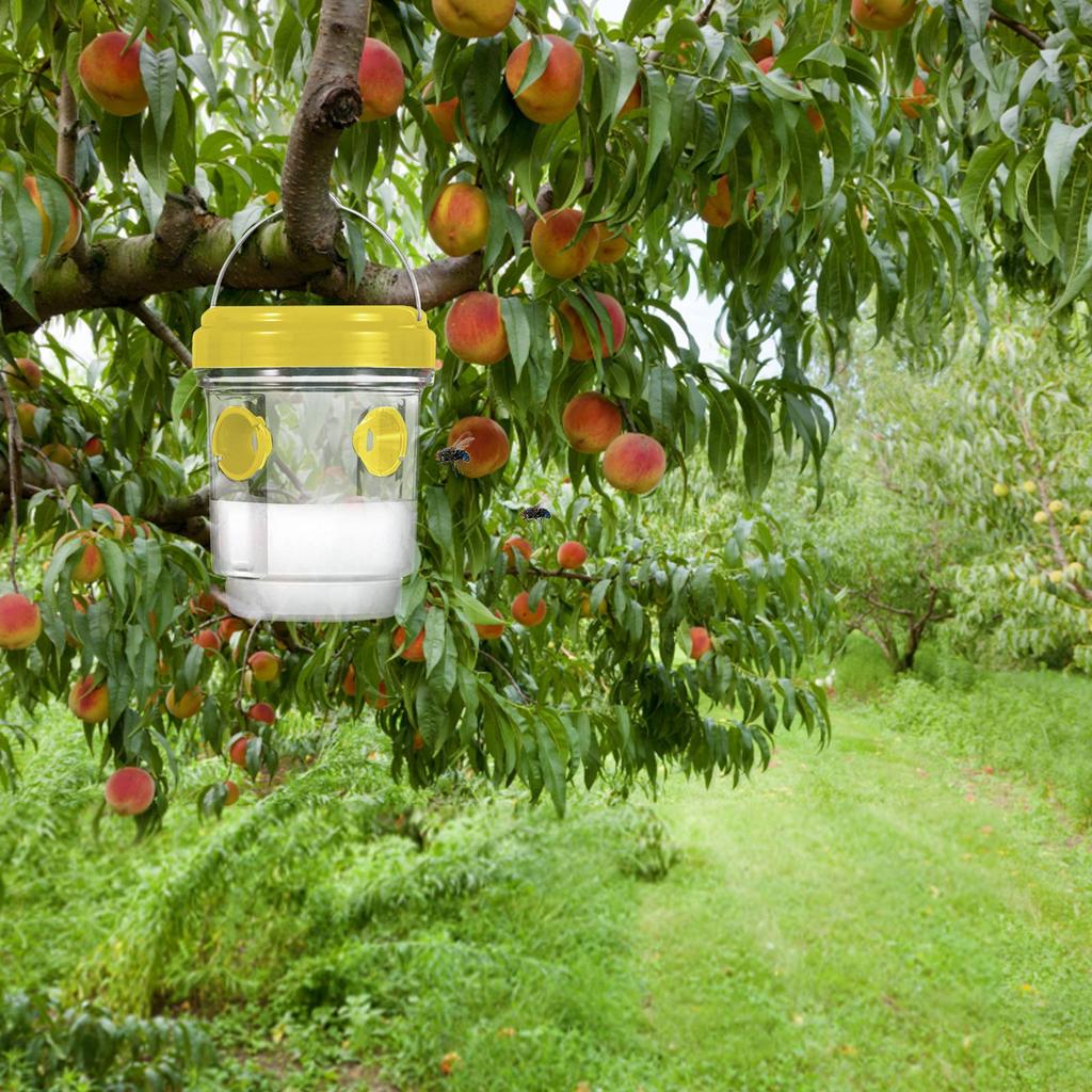 Bee Trap, Garden Pest Trap, Bee Hanging,trap, Reusable Bee Trap, Bee Trap, Outdoor