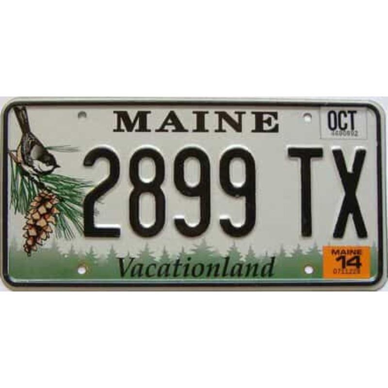 

Arizona State Retro Metal License Plate 15x30cm