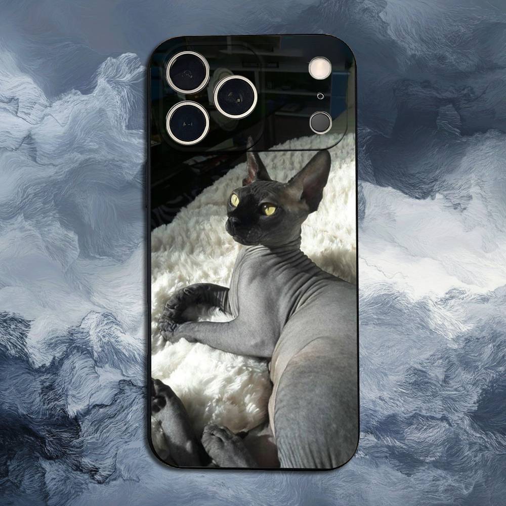 Pet Sphynx Sphinx Cat  Case For iPhone 11,12,15,14,13,16,17,Plus,Pro Max,XS,X,XR,SE,Mini,8,7,Soft Silicone Black