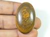 Natural Shiva Tiger Eye Oval Cabochon 40Cts.  Loose Gemstone 24X40X9MM SK-1404