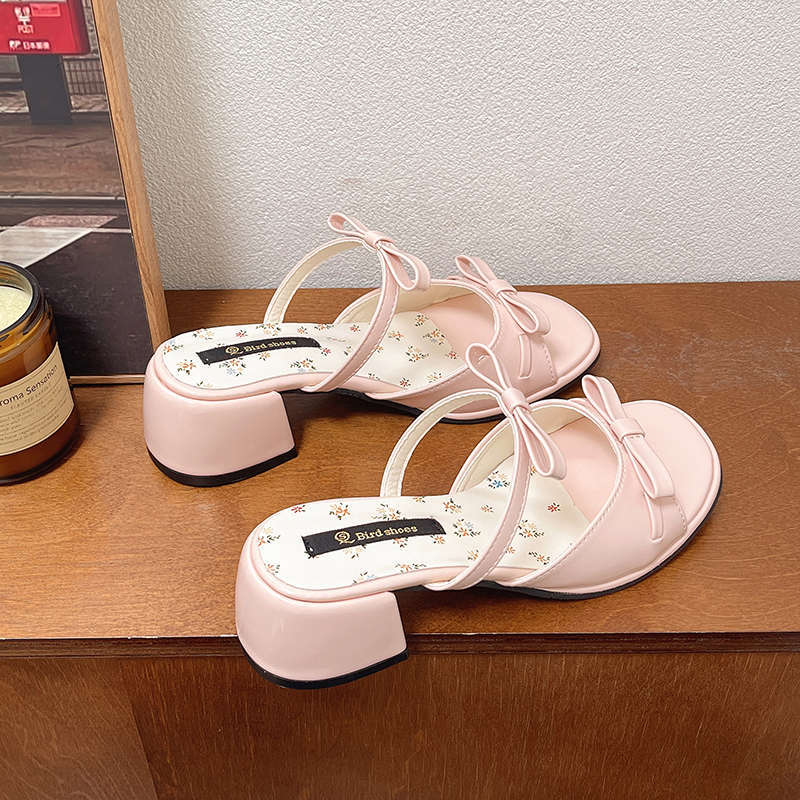 French Fairy Style Open-toed Cool Slippers Female Summer Wear with Skirt 2025 New High Heels Thick Heel Beautiful Sandals