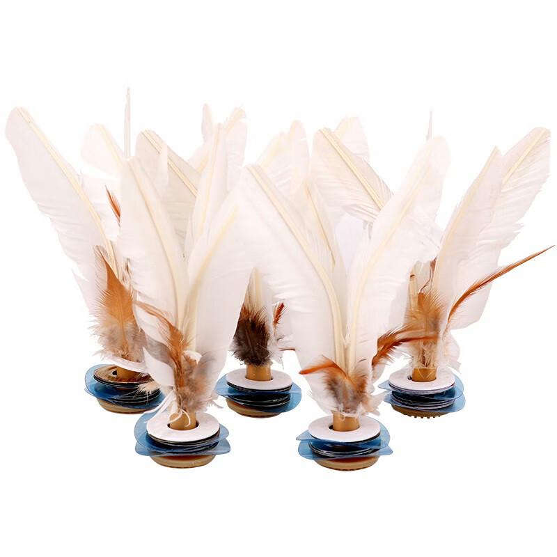 Jianzi Feather Shuttlecocks