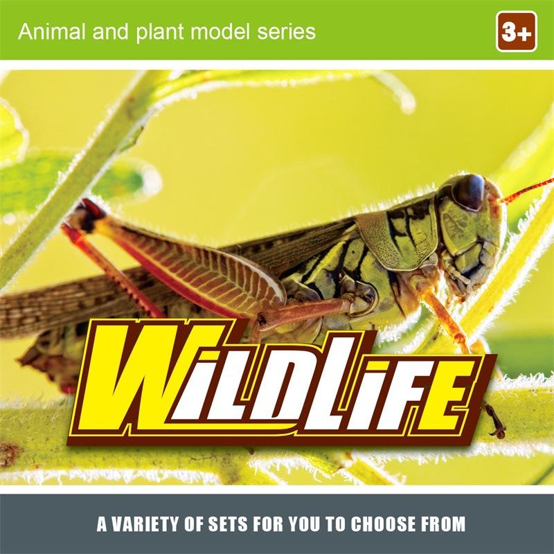 Simulated Mini Bird Plant Insect Vegetable Fruit Model Toy Desktop Static Ornament Storage Set