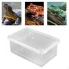 Reptile Feeding Box Breeding Case Portable with Lid Transparent Small for Frog Scorpions Hermit