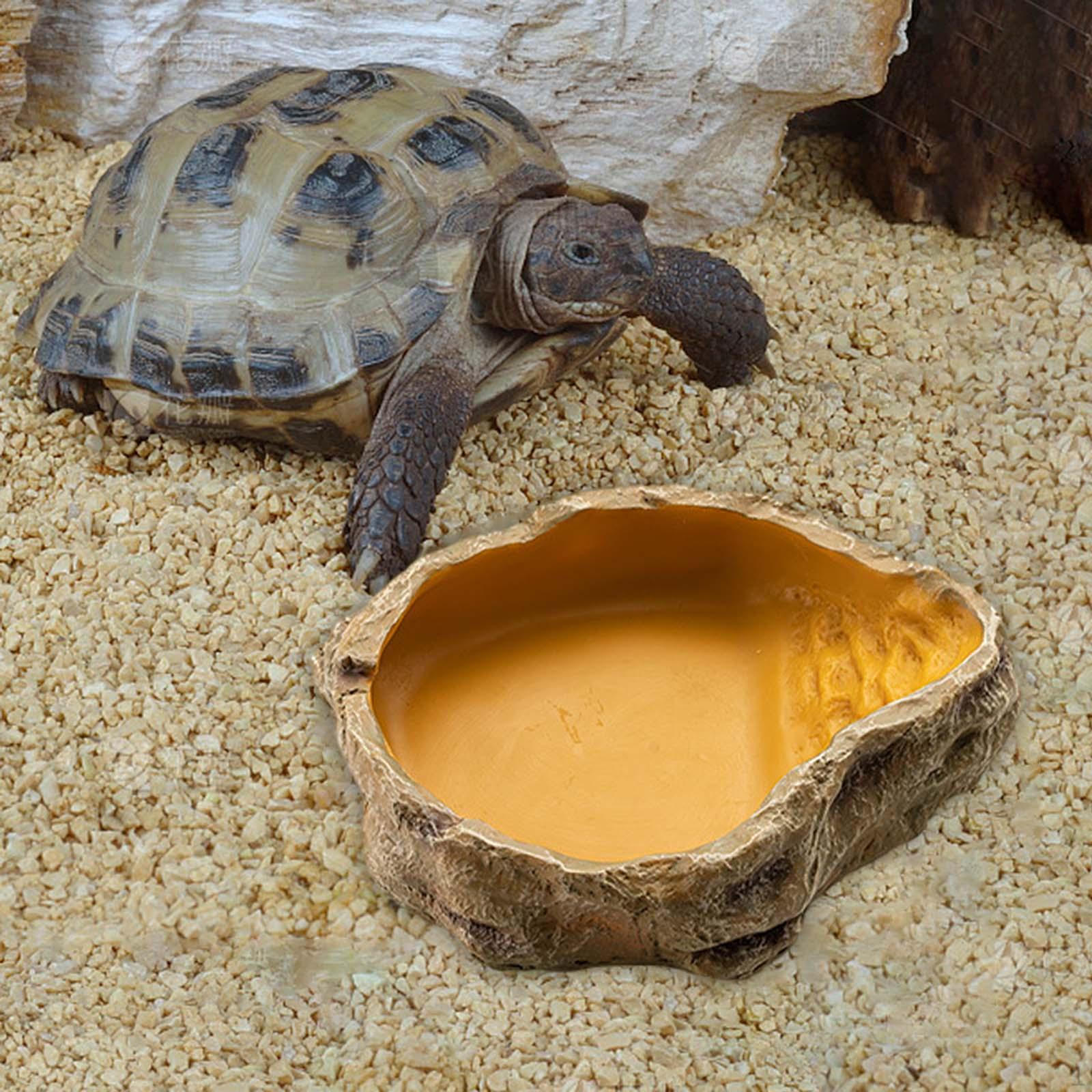 

Коробка для разведения, резервуар для воды, прочная среда обитания для инкубации, большая вместимость, многоцелевой игровой водный питомец M