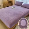 Warm Winter Velvet Fleece Fitted Sheet Elastic Mattress Cover Couple 2 Seater Bed Linens Luxury Double Bed Sheet