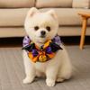 Soft Puppy Bat Bow Tie Lace Cat Cosplay Bow Tie Dog Pumpkin Bow Collar  for Cats and Dogs