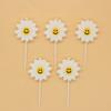 New Ins Fresh Daisy Sunflower Flower Birthday Candle Children's Party Cake Decoration Candle
