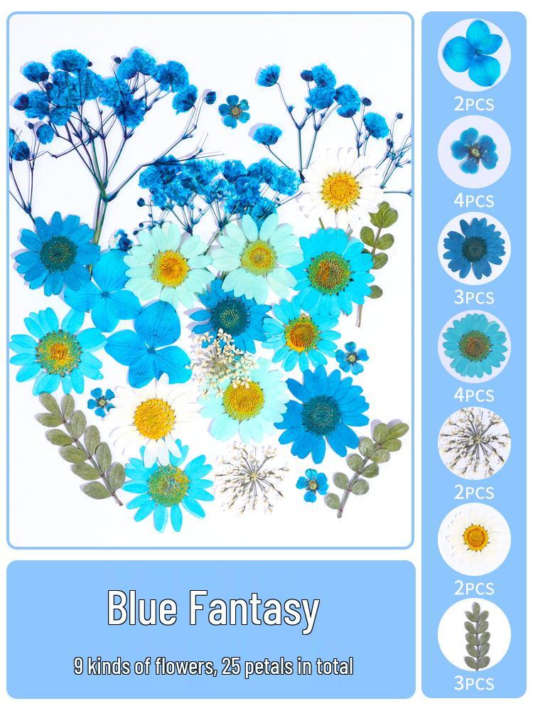 Creative DIY Bookmark Kit: Blank Cards with Embossed Dried Flowers and Leaves