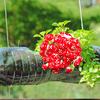 DIY Garden Potted Bonsai Decor Props Craft Foam Plant Mini Artificial Mushroom