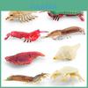 Pești și animale marine – Decorul acvariului