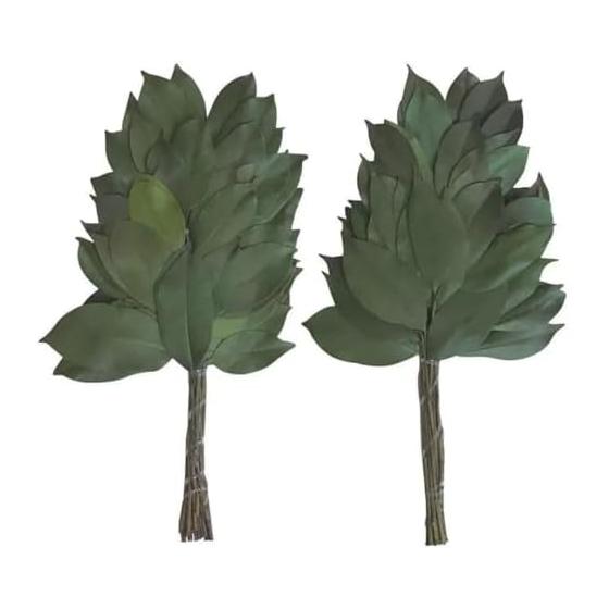 Preserved Sakaki 1 pair of authentic, top-quality sakaki that does not wither and does not require water