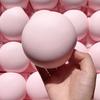Strawberry hi Dumpling Slow Rebound Stress Relief Squeeze Toy Gift Slow Rebound Soft Toy
