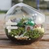 Oblique Clear Glass Ball Vase Clear Succulents Plant Container Borosilicate Glass Vase  Hydroponics