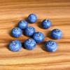 10 Pcs Cute Keychain Accessories Resin Earring Accessories New Blueberries Pendant
